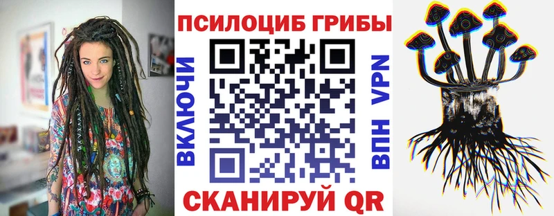 blacksprut tor Динская Галлюциногенные грибы Psilocybe