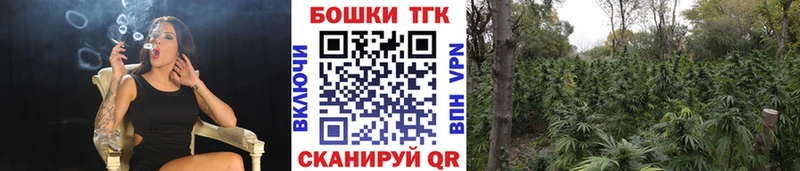 как найти наркотики  Динская  Бошки Шишки THC 21% 